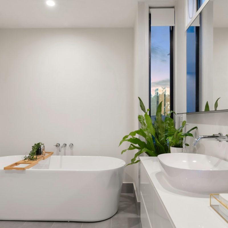 white ceramic bathtub near green potted plant